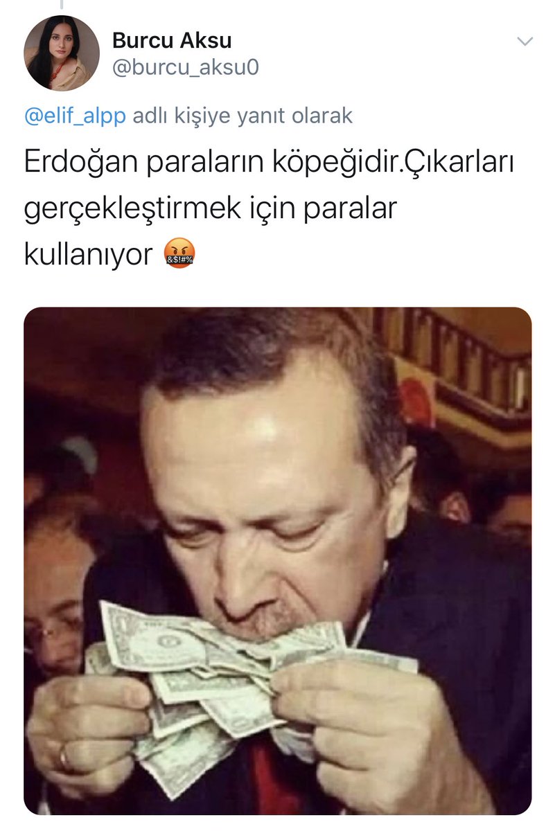 AntiParalelKadın (araştırmacı) tweet media