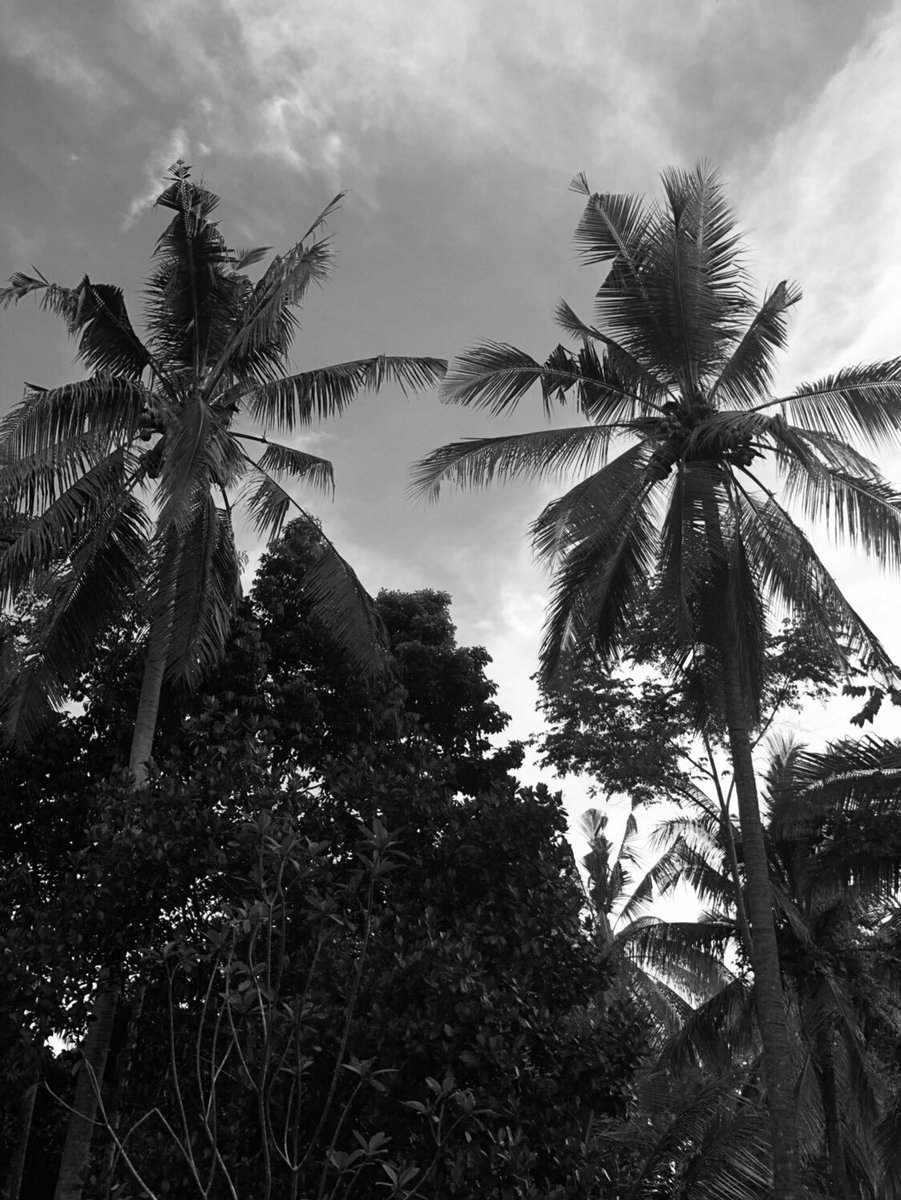 MarkBlackXXX's tweet photo. Bali Island 🖤 https://t.co/DzWmwP5rtw