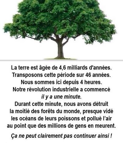 lyly4green's tweet photo. Préservons l'équilibre fragile de la #Terre 🌍et donc l'avenir de l'humanité.
#ClimateChange #biodiversite #agissons https://t.co/chOqLR8506