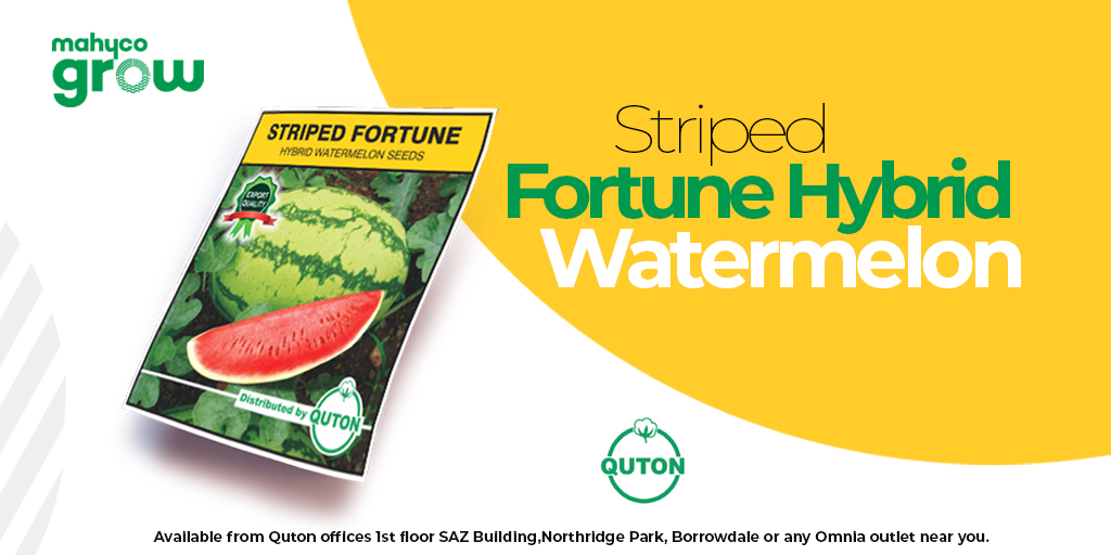 Quton Seed Company tweet media