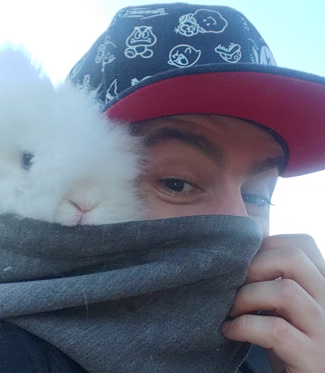 JustifydWarrior's tweet photo. Make sure to wear your mask properly ๐ท
Left: we see #MerlinTheMagicBunny showing us how *NOT* to wear a mask ๐ซ
Right: Merlin models a highly breathable fits-all mask with his nose-to-chin entirely covered ๐ https://t.co/EwUga3vlk2