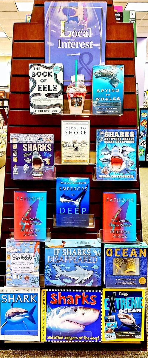 Come see us at your Valley View Barnes &amp; Noble and check out our #sharkweek display, and don't forget to ask your Barista about our tasty #sharkdrink we're featuring currently! #barnesandnoble #bnvalleyview #sharks #sharklove