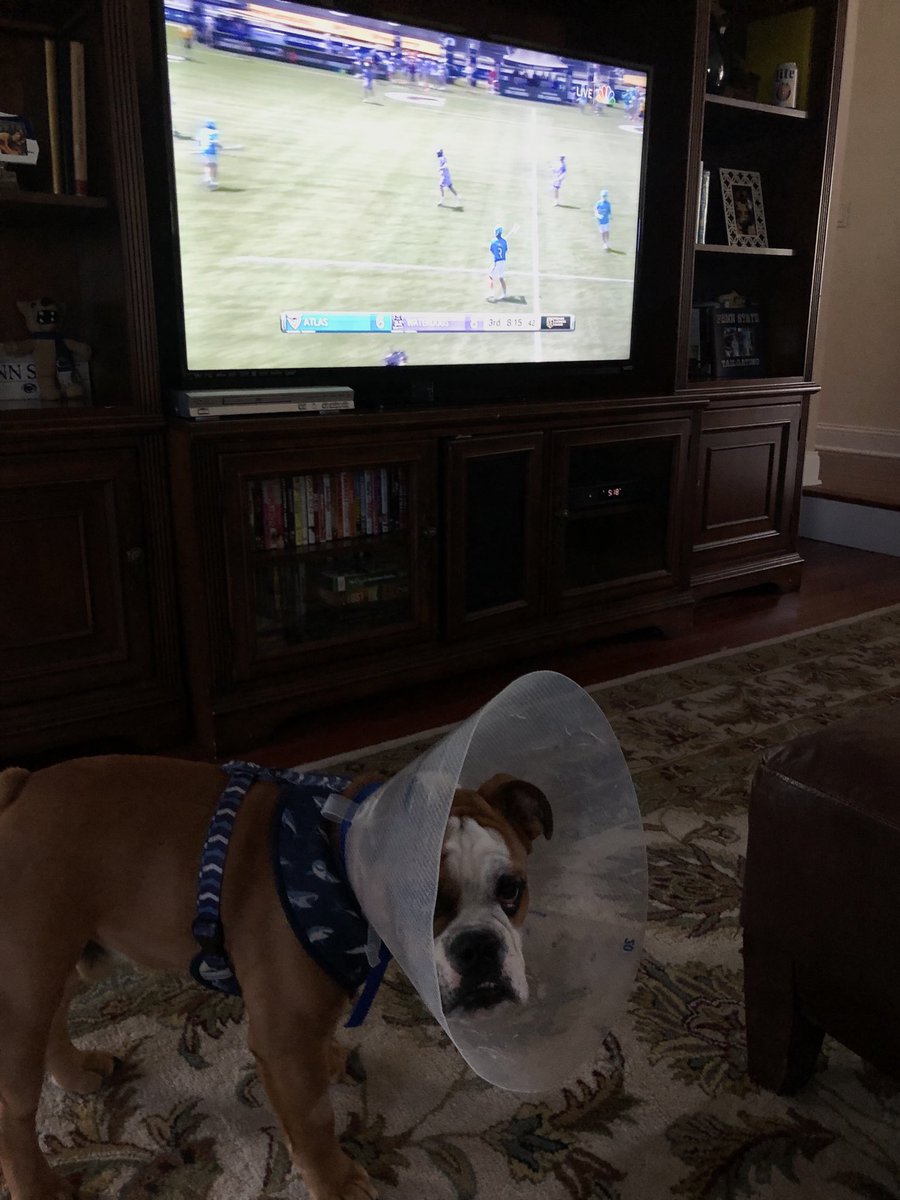 frigenny's tweet photo. ⁦@PLLWaterdogs⁩ this guy is on the injured list but still supporting the boys! https://t.co/MXnEMM0mLQ