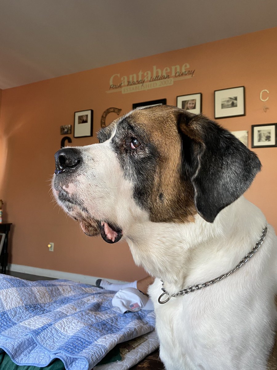 pcantabene's tweet photo. @PLLWaterdogs @PremierLacrosse #PLLWATCHParty https://t.co/k1BQ3cVwoG
