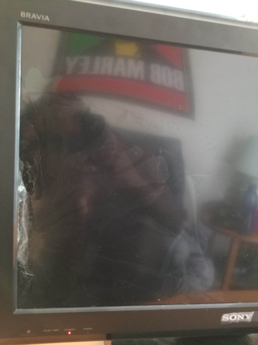 ShobzTV's tweet photo. Current situation. My dogs were playin around and broke my tv. https://t.co/dnCRInbRQv