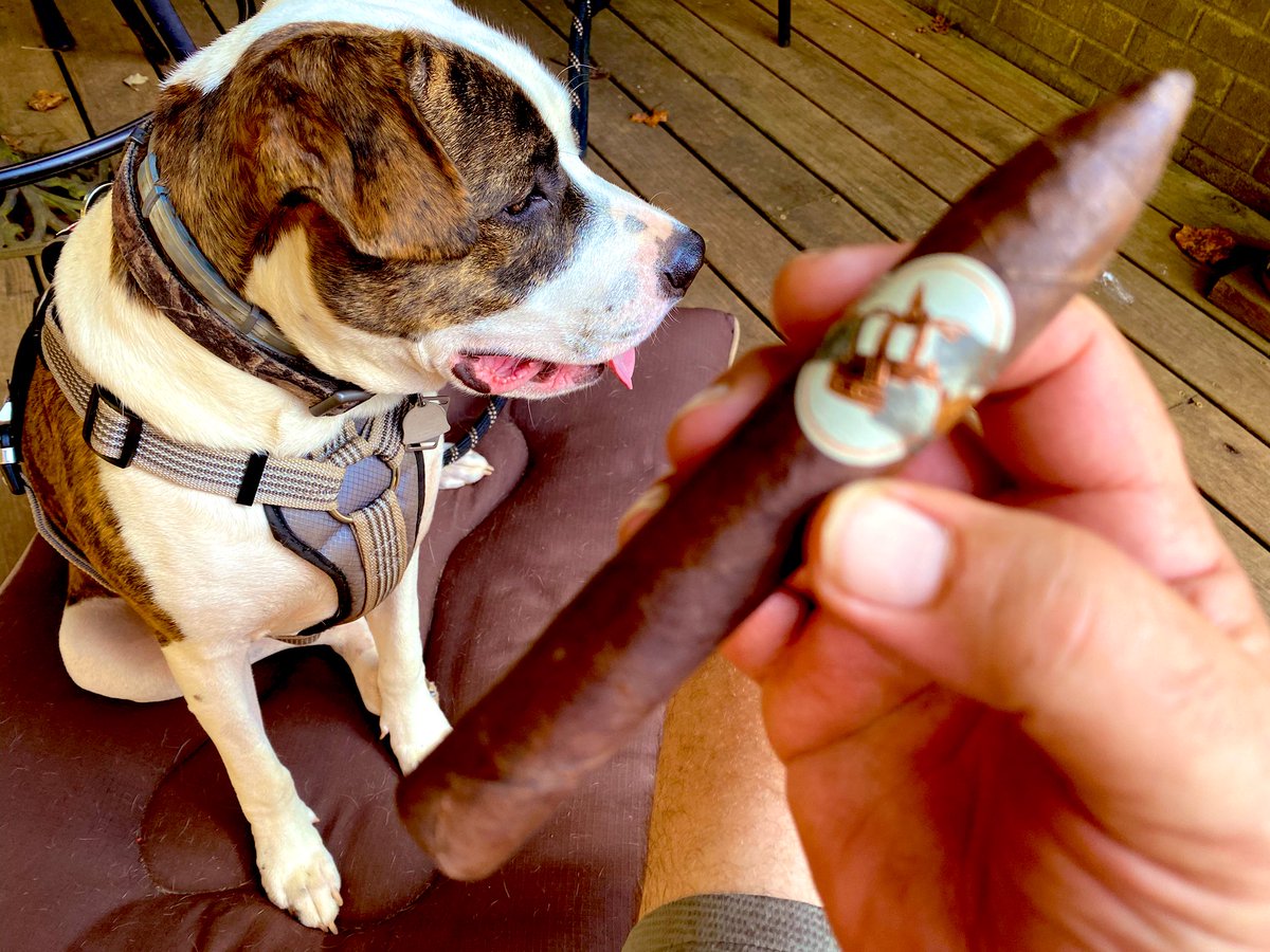 brianstale's tweet photo. Closing out with The 4th Pose and my boy. #AlloutKings #cigartasting https://t.co/HlItphcF48