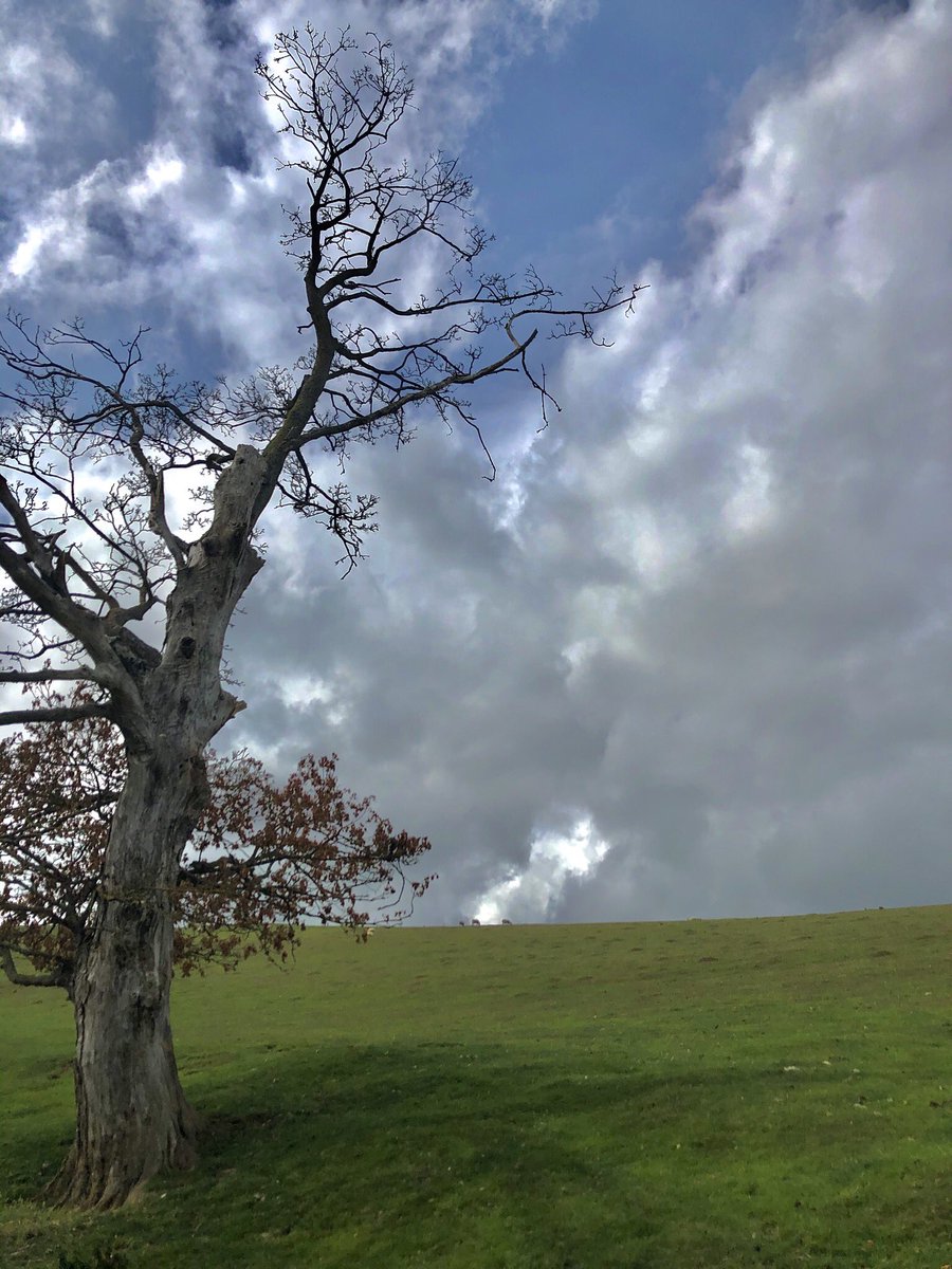 BywaterLawrence's tweet photo. Yeah, can’t run up hills. 🙅🏽‍♂️ https://t.co/tQwYQgj2jY