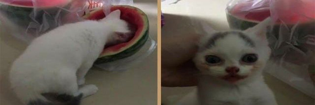 __GroundZero_'s tweet image. 