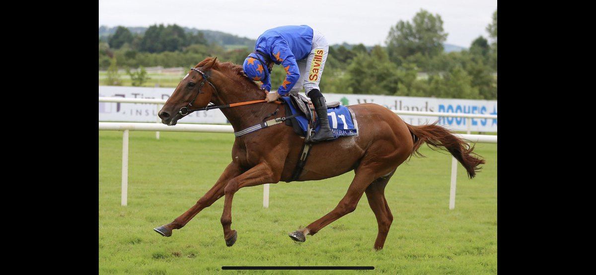 McnallyRonan's tweet photo. #thetrigger on his way to 3 wins in a row @LimerickRaces not bad for an 11yr old. @sheenakerr @swflanagan7 https://t.co/dDJP96fE7O