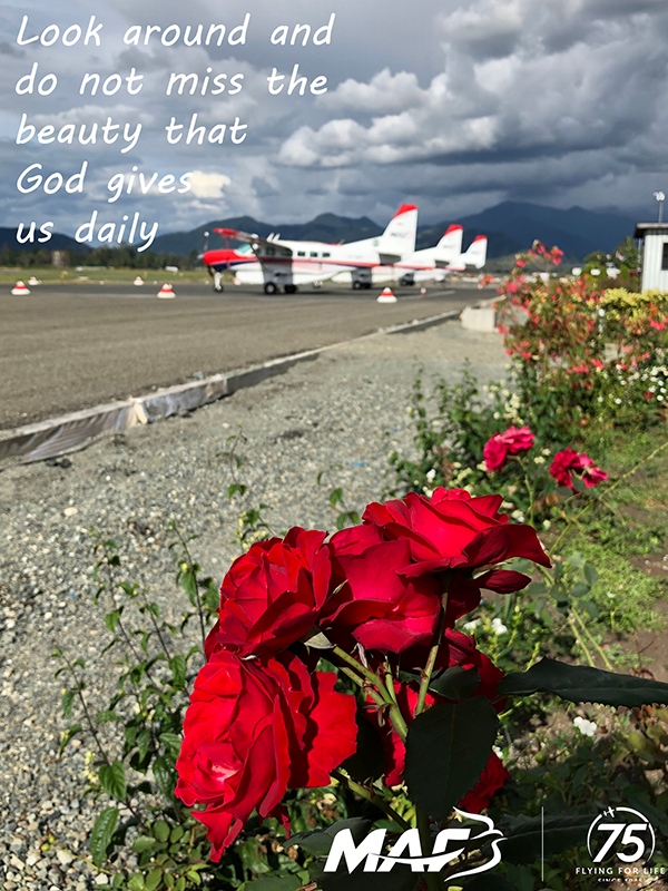 MAF_Australia's tweet photo. #motivationalmonday Look around and do not miss the beauty that God gives us daily.
,
,
,
#iflymaf #flyingforlife #75yearsofhope #75yearsofmaf https://t.co/fsSgjMlkwE