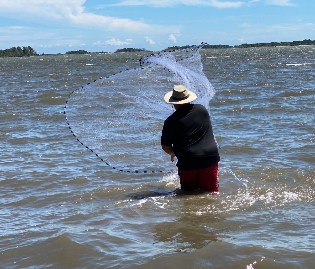 prp3theauthor's tweet image. #Shrimping in the shallows #obx #castnet #castnetting #outerbanks #crystalcoast #sobx #intracoastalwaterway #visitnorthcarolina #explorenorthcarolina #northcarolina #trek #trekking #travel #traveling #traveler #explore #explorer #worldtravel #worldtraveler #prp3theauthor #shrimp