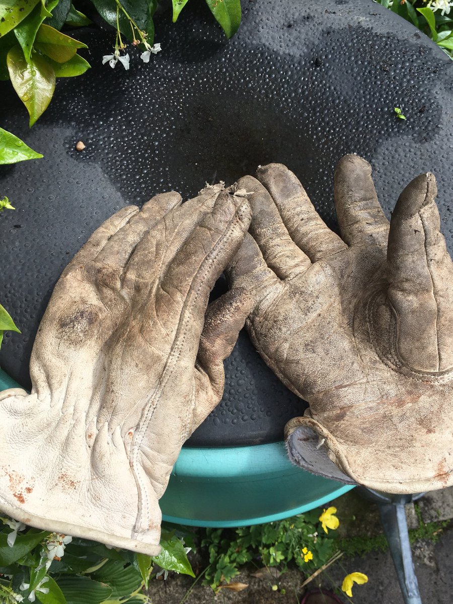 Springborn21's tweet photo. Love my old gardening gloves but my hands were dirtier after I’d worn them than before. Time to break out the ones I got for Christmas. They made me feel like Margot Leadbetter 😯 (one for the kids there). #BitPink #gardening https://t.co/jabUaU3Yvg