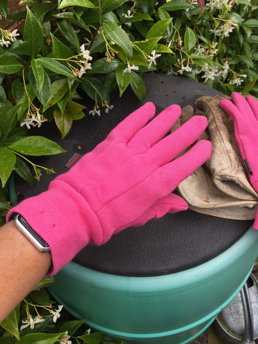 Springborn21's tweet photo. Love my old gardening gloves but my hands were dirtier after I’d worn them than before. Time to break out the ones I got for Christmas. They made me feel like Margot Leadbetter 😯 (one for the kids there). #BitPink #gardening https://t.co/jabUaU3Yvg