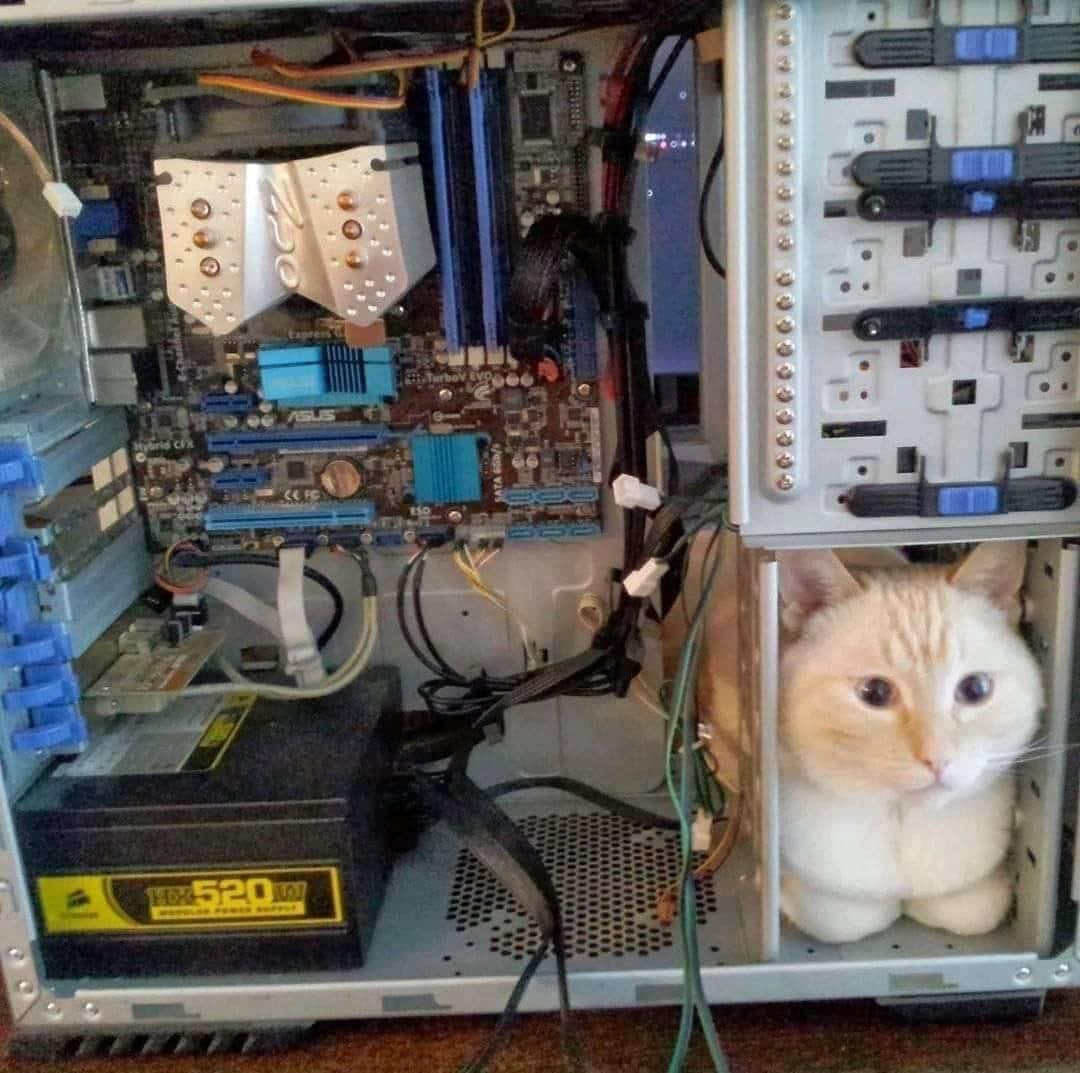 foxyproxy's tweet photo. Guaranteed server performance, no matter the issue. 

#vpn #proxy #privacy https://t.co/qf48FwWk6s