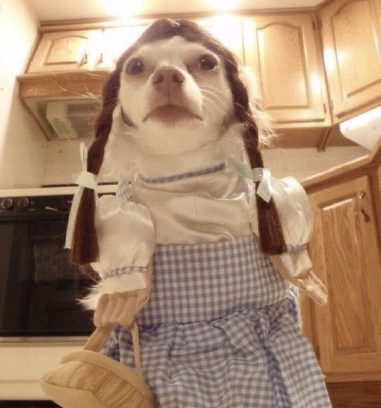 niconeverfull's tweet photo. stepping out tonight for my birthday #amish #bdayflow please make sure you come to the butter churner early so we can take group pics 😀💕 https://t.co/4Yu7Z0kz8u