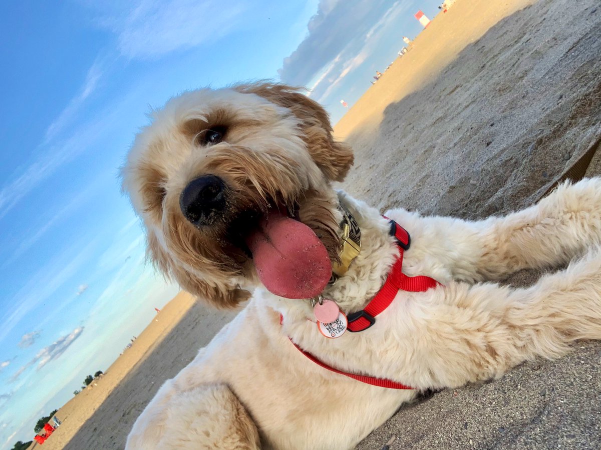 selfxplanatori's tweet photo. Beach day 🏖 https://t.co/MyqjS2PZwL