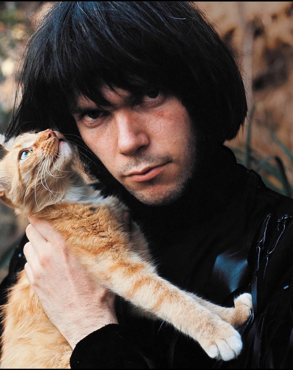 #cats #NeilYoung