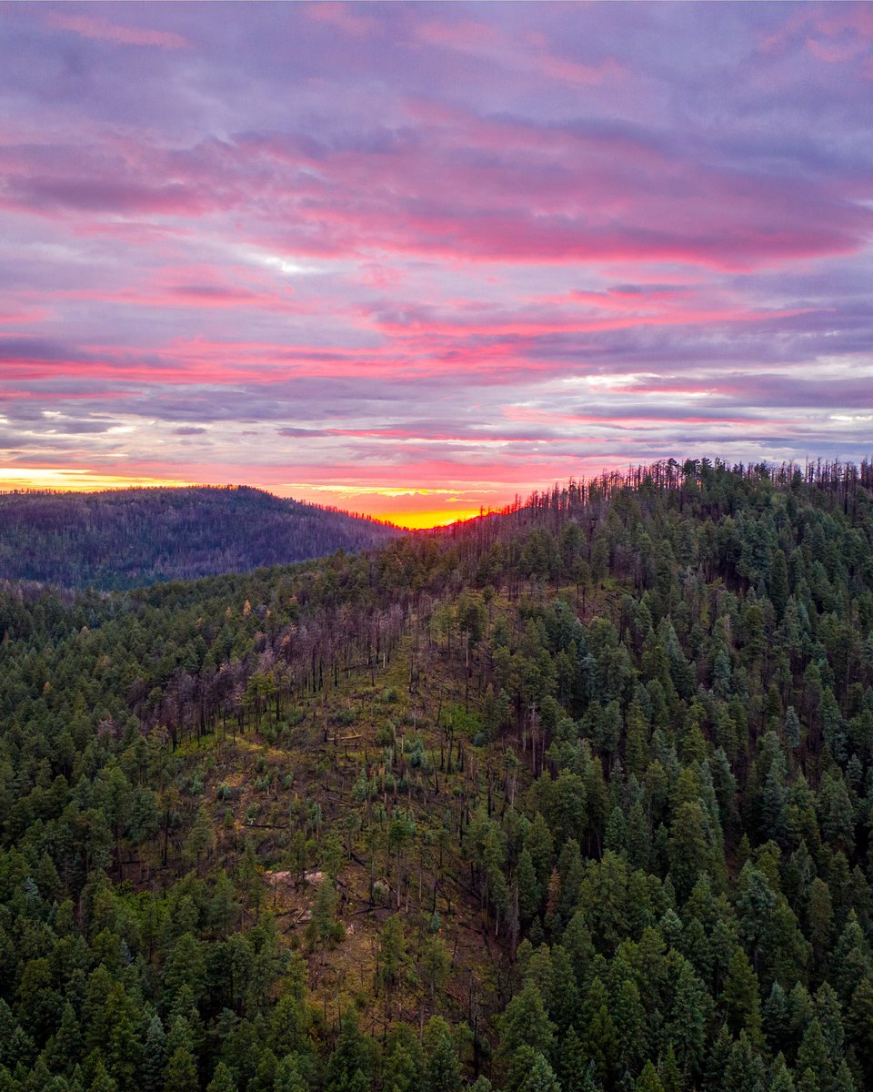 TheArizonaDrone's tweet photo. #drone #drones #dji #mavicpro2 #dronephotography #arizona #explorearizona #ig_arizona #skybangerz #visittucson #az #azfamily #azphotographer #abc15 #natgeoyourshot #earth #fox10phoenix #mountgraham #sunset #azliving #arizonaisgorgeous #hikeaz #conquerarizona #forest #beautiful https://t.co/07hyyfwSXD