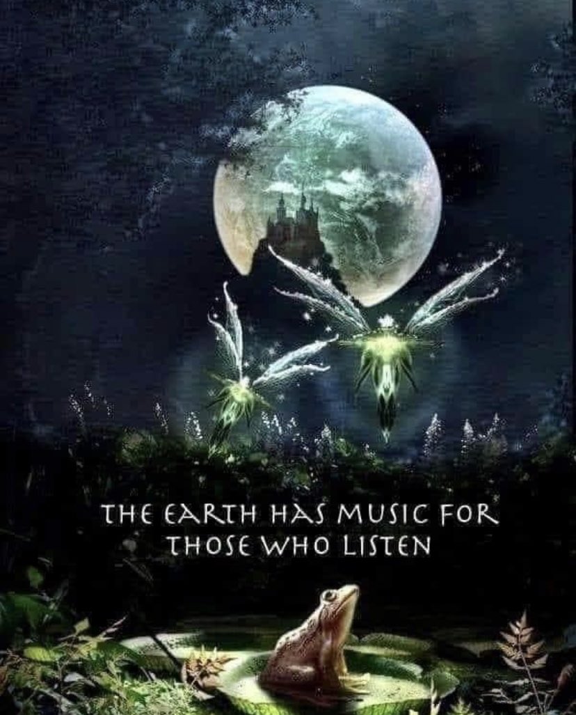 nkotbblockhead1's tweet photo. #witch #witchywisdom #nature #proudwitch #magic #powerfulmagic #witchyvibes #witchymood https://t.co/FVYVF6iBys
