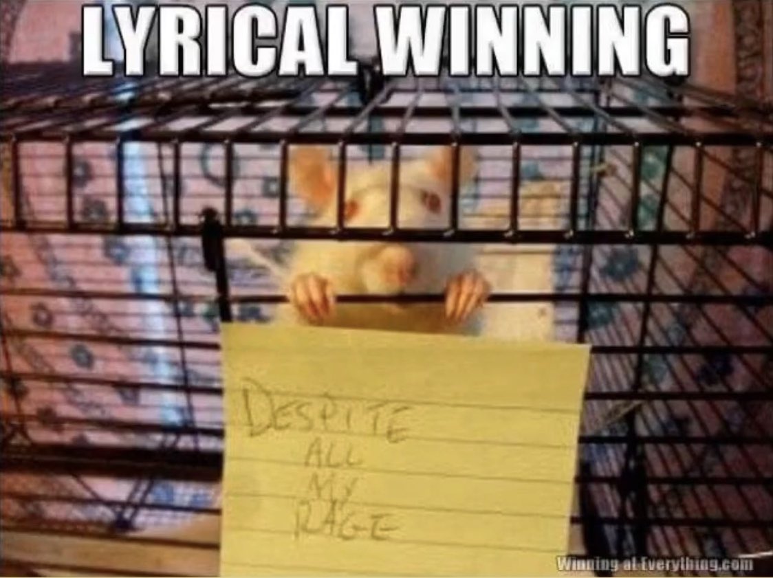 adpod's tweet image. ...