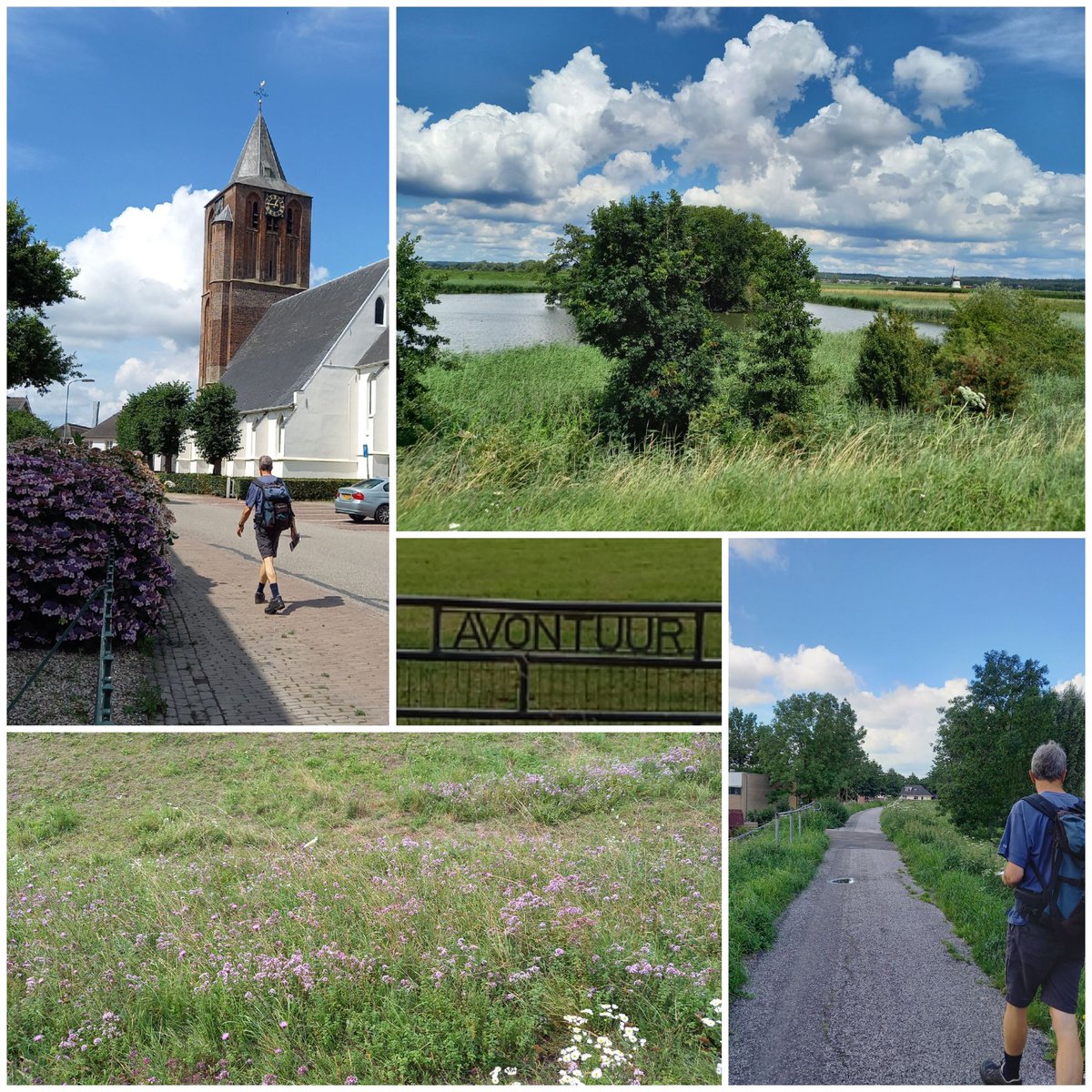 BellaGelata's tweet photo. #Romeinse Limespad: avontuur in NL. Etappe Kesteren - Rijswijk gewandeld. mooi uitzicht op de Oude Rijn, Grebbeberg en Amerongse berg. Romeinse sporen: Origanum vulgare en walnotenbomen. #wandelen #wandelnet #LAWXVI #RomeinseLimesNL https://t.co/flPZm9B2CJ