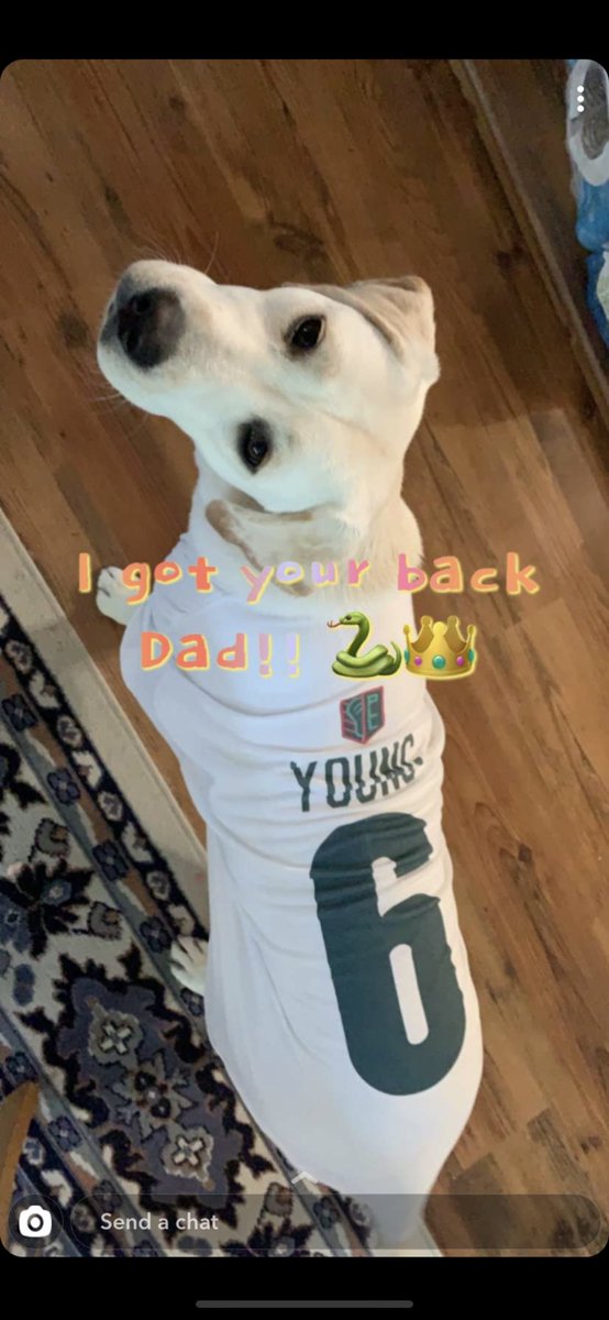 MommaWexx's tweet photo. @PLLWaterdogs #PLLwatchparty Go Whips 🐍💚🥍 https://t.co/jSIJgaJHzF