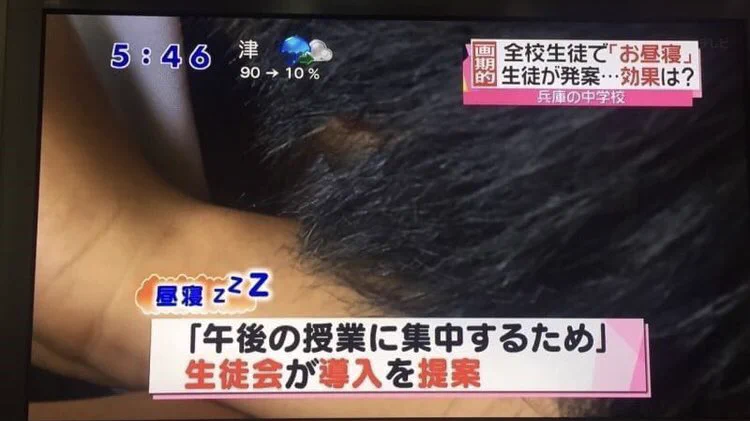 全国の学校で導入するべき？シエスタ（昼寝）を取り入れた結果！