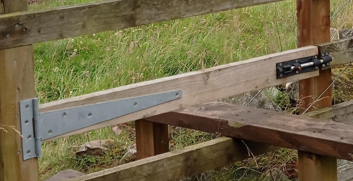 stilegasm's tweet photo. @borderedlife This is a revolution in dog doors, I'm telling you. @LakesStiles, get a load of this. https://t.co/0hYMHLxHYx