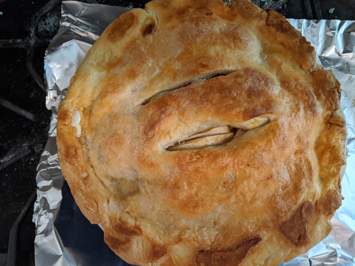 arandomdog's tweet image. Stuck inside so I baked a pie! #apple