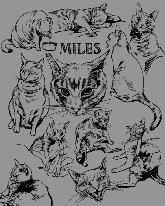 Honoring my sweet baby Miles. Making this has really, really helped. I've still got all my wonderful memories of him. ?❤️ 