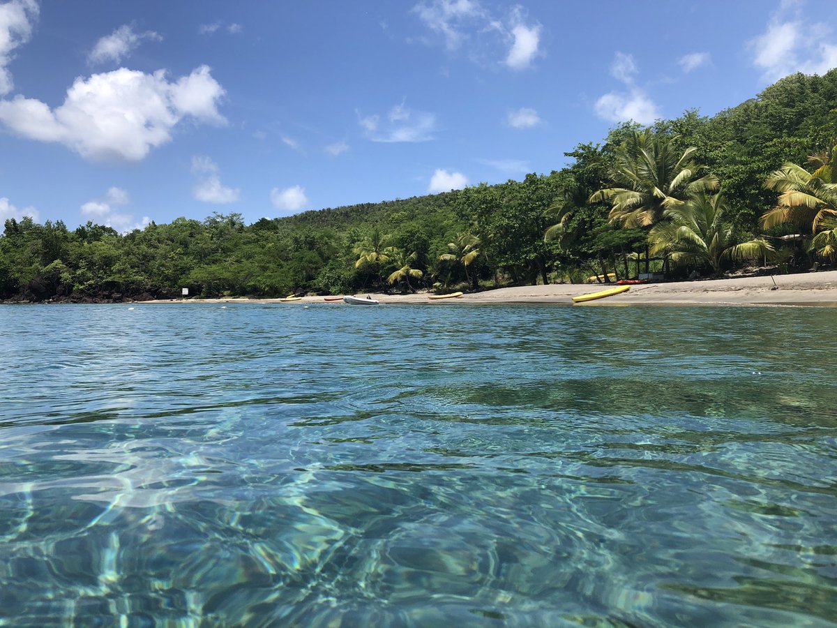 tweeterinwhite's tweet photo. Saint Lucia Sea 🐠 https://t.co/zqTNvJ2YPH