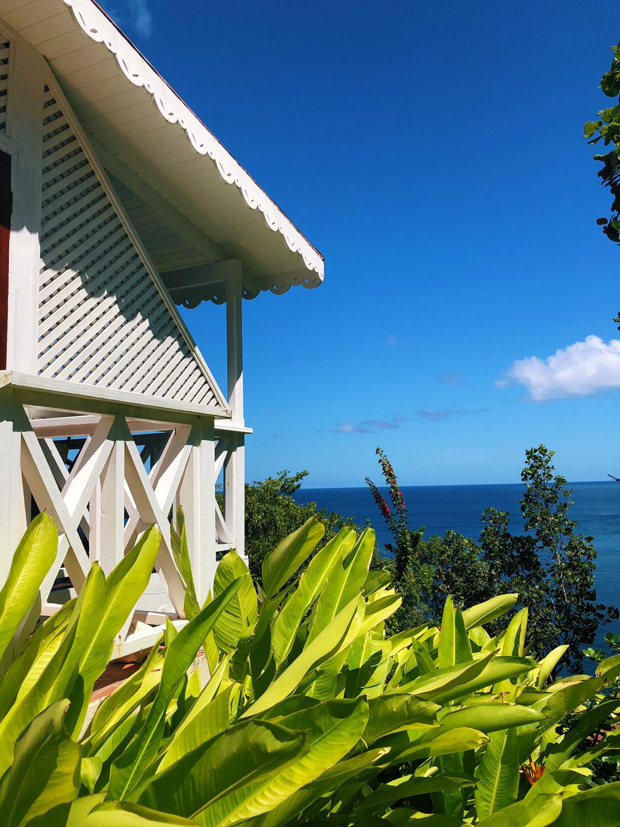tweeterinwhite's tweet photo. Saint Lucia Sea 🐠 https://t.co/zqTNvJ2YPH