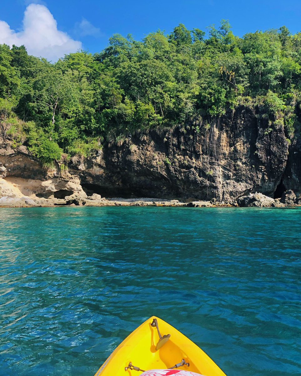 tweeterinwhite's tweet photo. Saint Lucia Sea 🐠 https://t.co/zqTNvJ2YPH