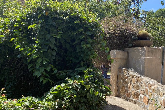 some little simple treasures from my bike ride today ✨🚲 https://t.co/BuGQFp9Ssh<a href="/tag/throne"class="tags"><span>#throne</span></a><a href="/tag/wishlist"class="tags"><span>#wishlist</span></a>