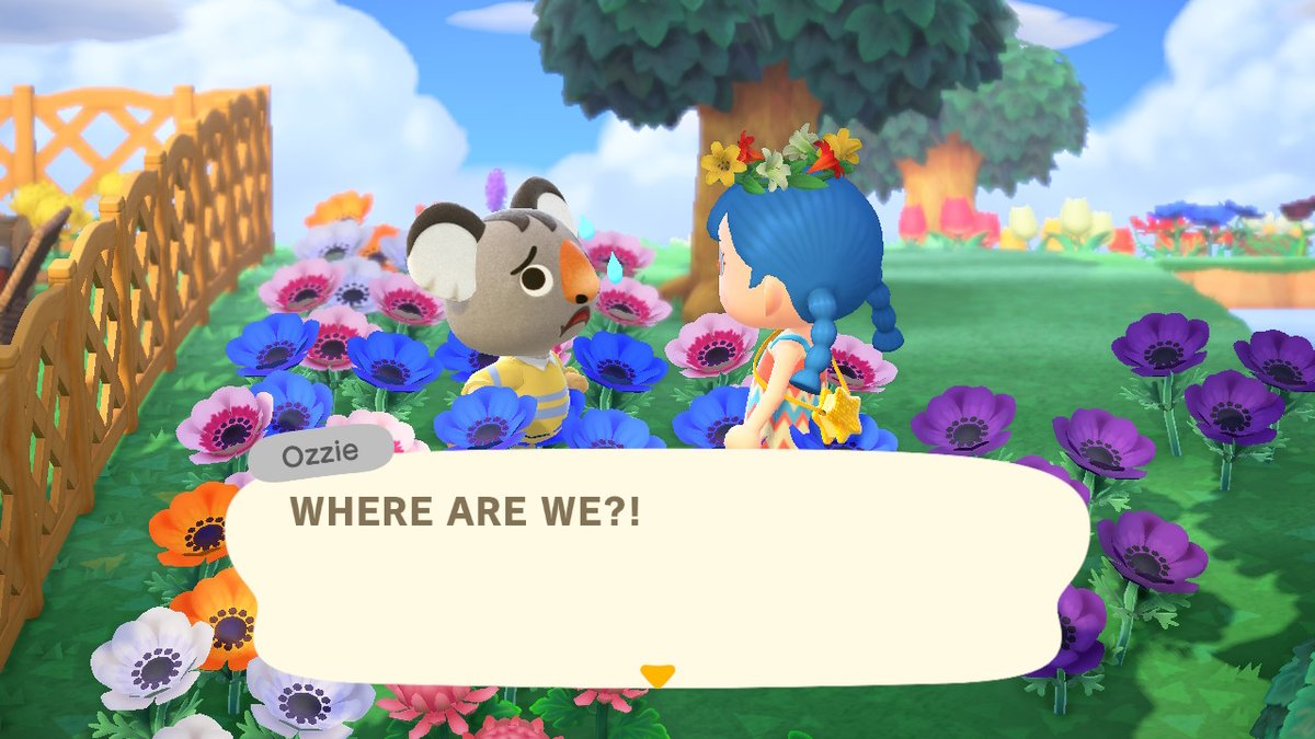 Emma82819600's tweet photo. D:  #AnimalCrossing #ACNH #NintendoSwitch #acnhozzie https://t.co/43VHLl309g