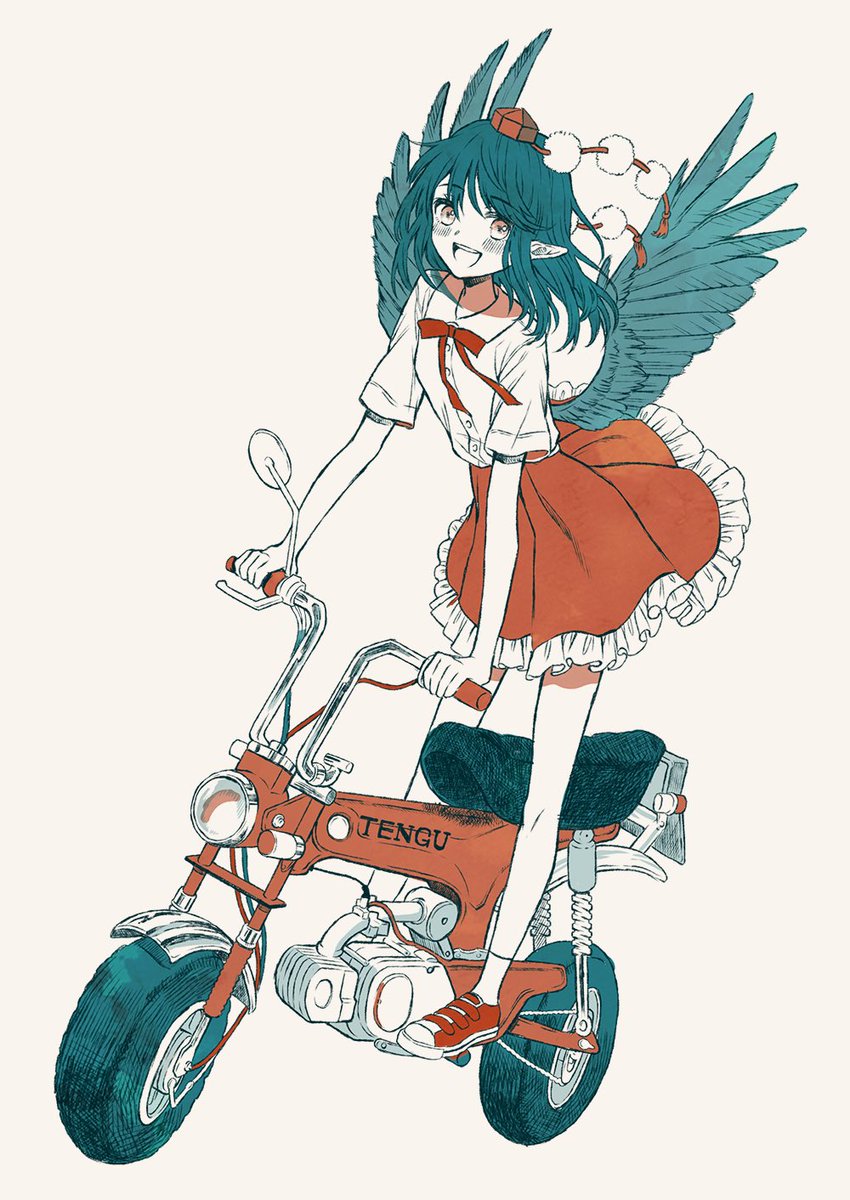 shameimaru aya 1girl solo wings skirt tokin hat ground vehicle hat  illustration images