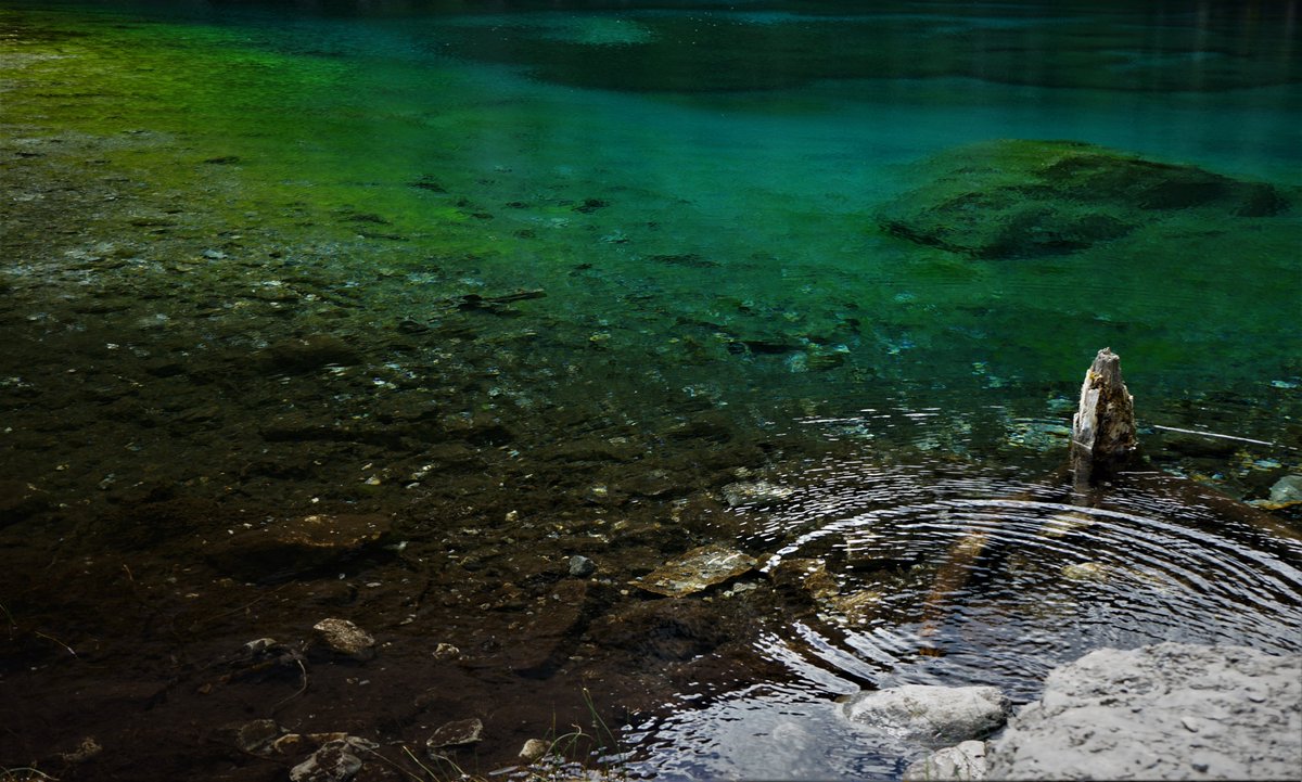 MahfuzEman's tweet photo. A short but wonderful hike to Grassi lake.
#hikingadventures #exploringalberta #lifeincanada #mesmerizinglocations https://t.co/KifhW1lDWW