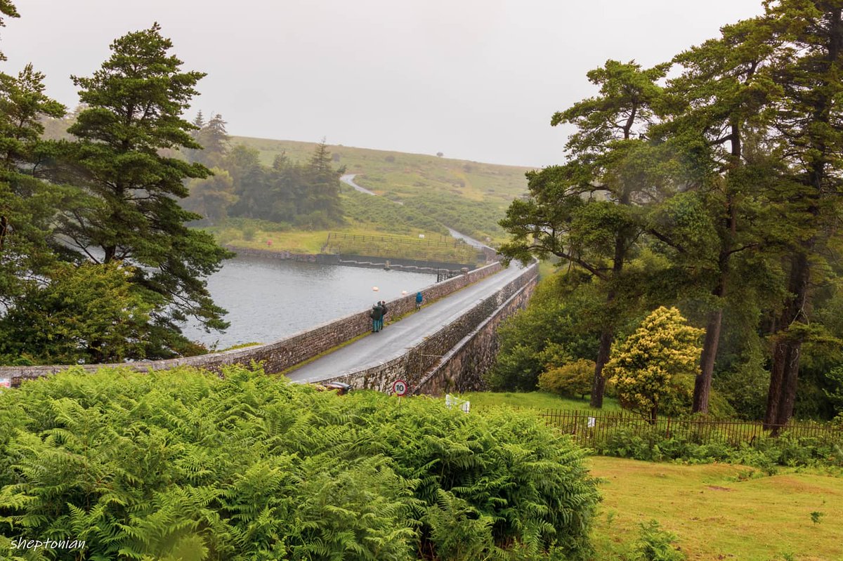 martynfreestone's tweet image. A wet and misty day at venford Reservoir on Dartmoor uk.
#devon #dartmoor #Reservoir #venford #landscape #sheptonian @LensAreLive