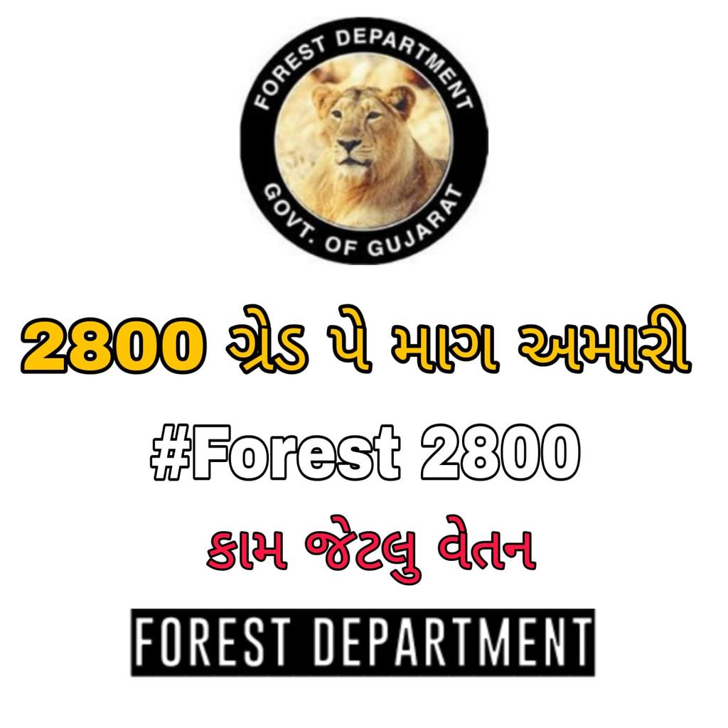અમને અમારો હક અપો. #2800gradepay_forestguard
#4200gradepay_forester
<a href="/CMOGuj/">CMO Gujarat</a> 
<a href="/tv9gujarati/">Tv9 Gujarati</a> 
<a href="/sandeshnews/">Sandesh</a> 
<a href="/isudan_gadhvi/">Isudan Gadhvi</a> 
<a href="/VtvGujarati/">VTV Gujarati News and Beyond</a> 
<a href="/gujratsamachar/">Gujarat Samachar</a>
<a href="/vijayrupanibjp/">Vijay Rupani Memorial</a> 
<a href="/Ganpatsinhv/">Ganpatsinh Vasava</a> 
<a href="/Nitinbhai_Patel/">Nitin Patel</a>
