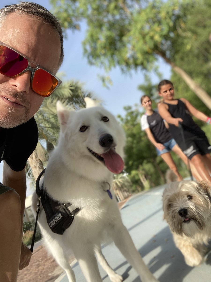 TeamAngelWolf's tweet photo. Day 27: #walkwithrio with the WolfPack and a little Oscar #togetherwecan @thesustainablecity https://t.co/IPWYdjeZy8