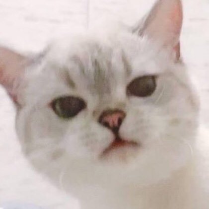 kvTaesty's tweet photo. A very necessary thread of Min Yoongi as this lil kitty. 

 #MTVHottest BTS @BTS_twt https://t.co/X8rEnGP0ji