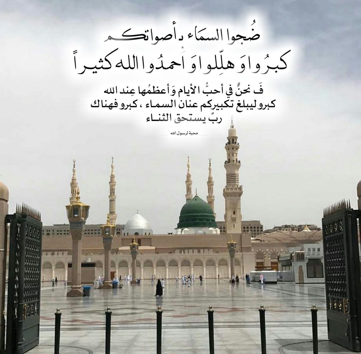 الكويت اولا tweet media