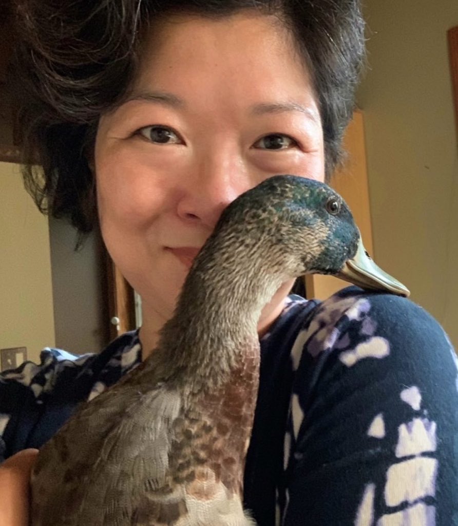 WaterfowlDoxies's tweet photo. Conrad with more big-boy feathers! #AwkwardPhase 🦆
Today, he got terribly tangled up in rope. The girls quacked loud enough for us to hear that there was a problem. After getting him free, he actually showed us his gratitude & let me hold him without resisting my snuggles! 😆☺️ https://t.co/7uTopkJTHk