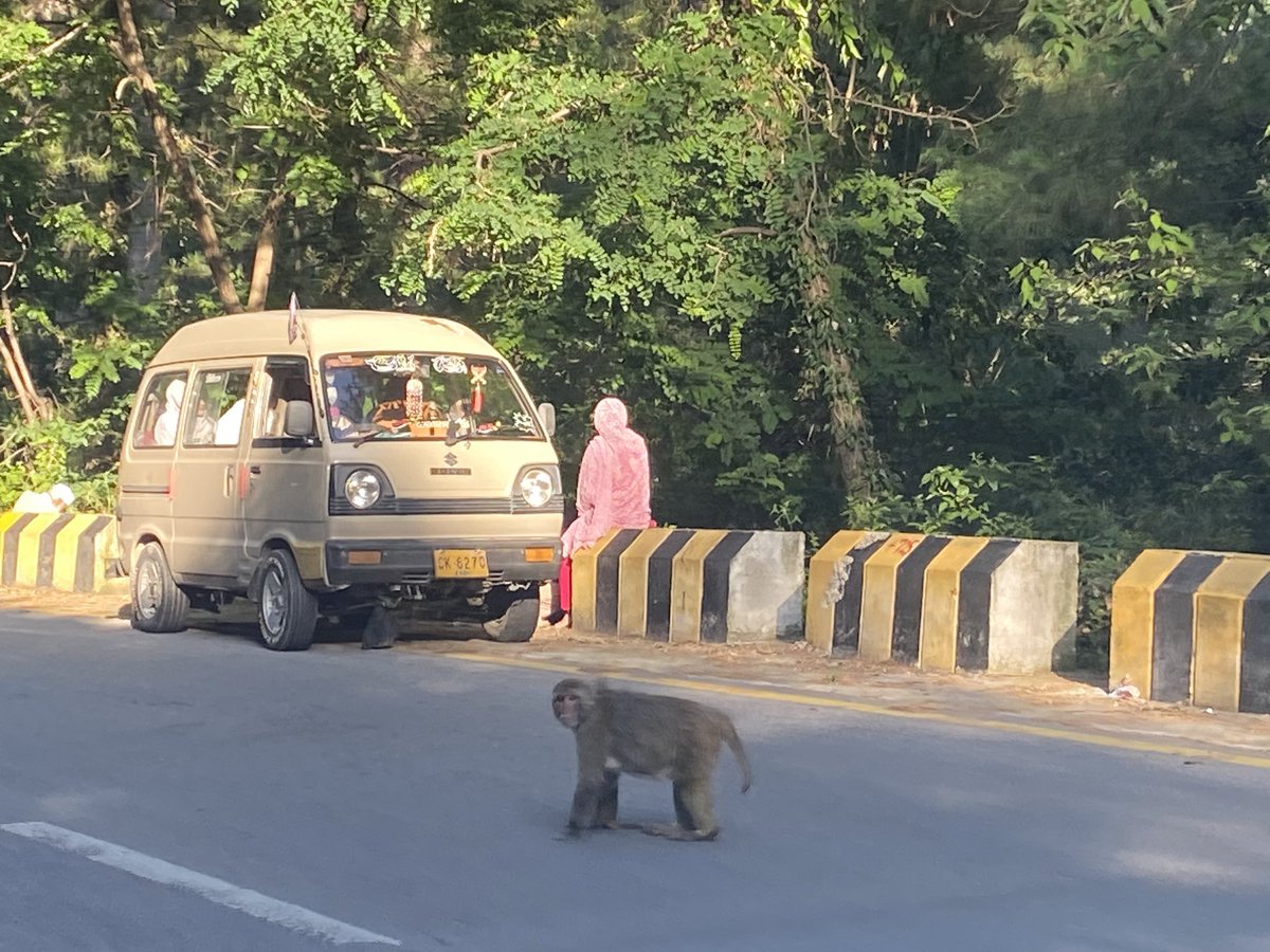 Reached Nathiagali in 8 hours driving time - the Hazara Expressway was a great to drive on - then you go on the N35 (the famed Karakoram Highway m) which is much narrower though and goes to Abbottabad- a bustling town which is often used as a place to fill up on supplies