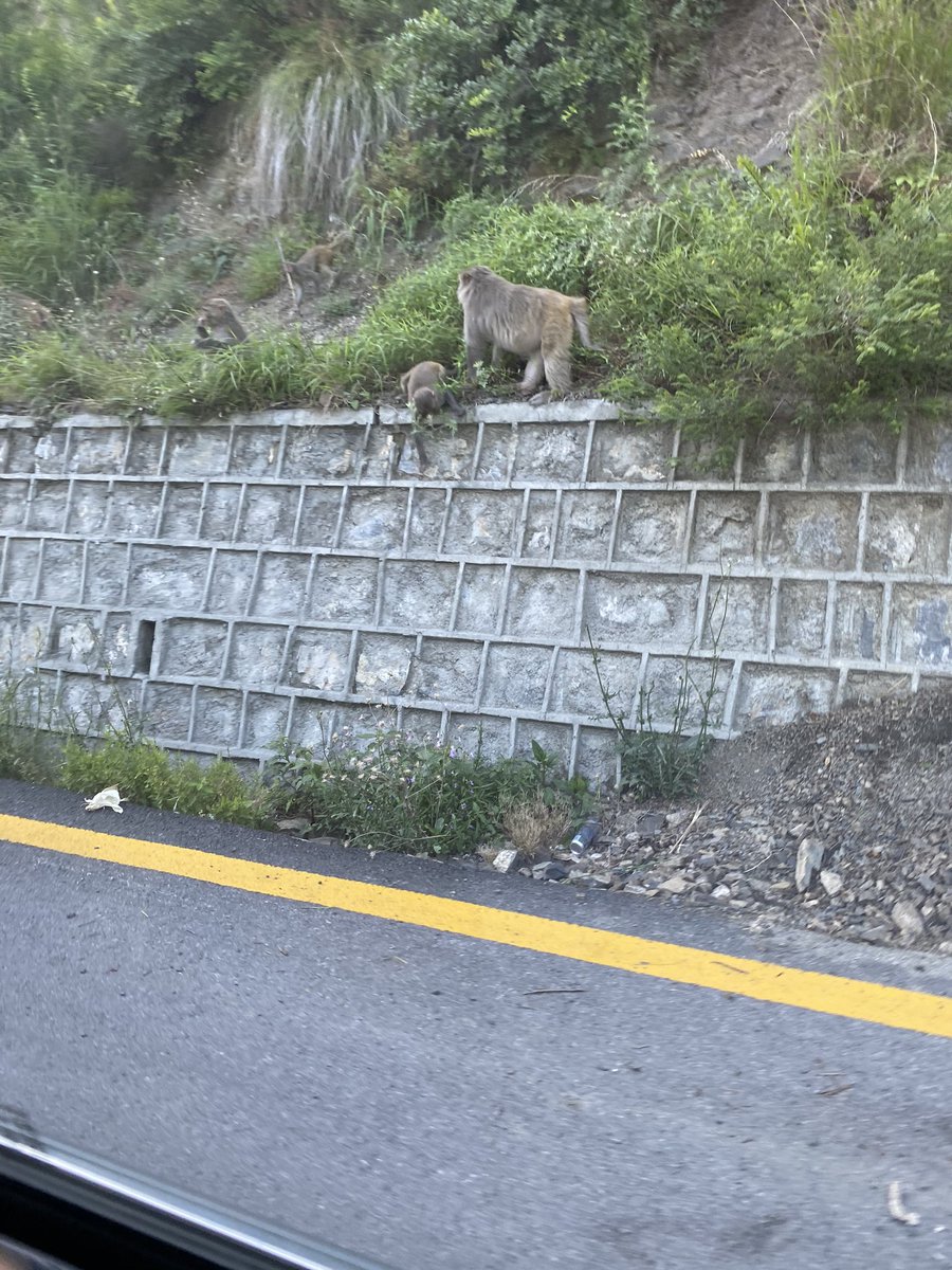 Reached Nathiagali in 8 hours driving time - the Hazara Expressway was a great to drive on - then you go on the N35 (the famed Karakoram Highway m) which is much narrower though and goes to Abbottabad- a bustling town which is often used as a place to fill up on supplies