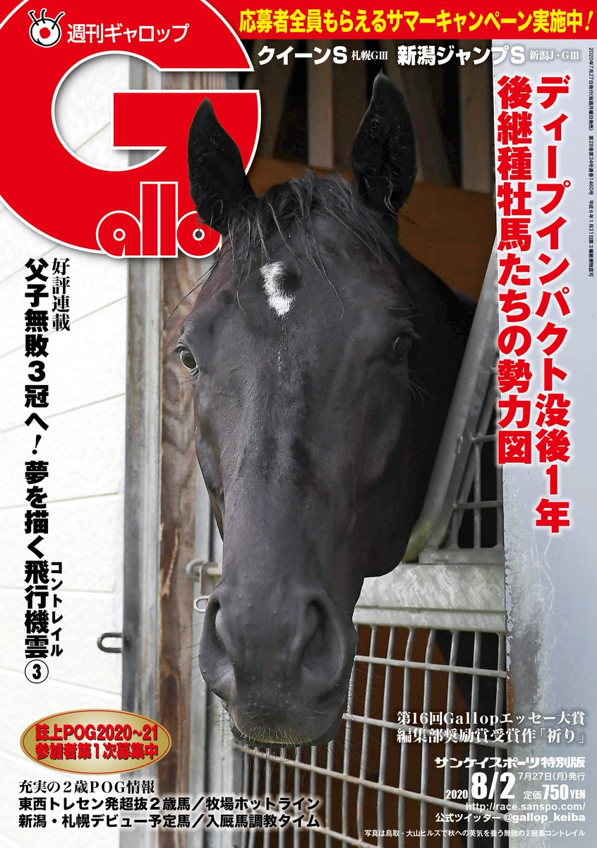 World Horse Racing Contrail T Co 3ajuo3lepl World Horse Racing Contrail T Co 3ajuo3lepl