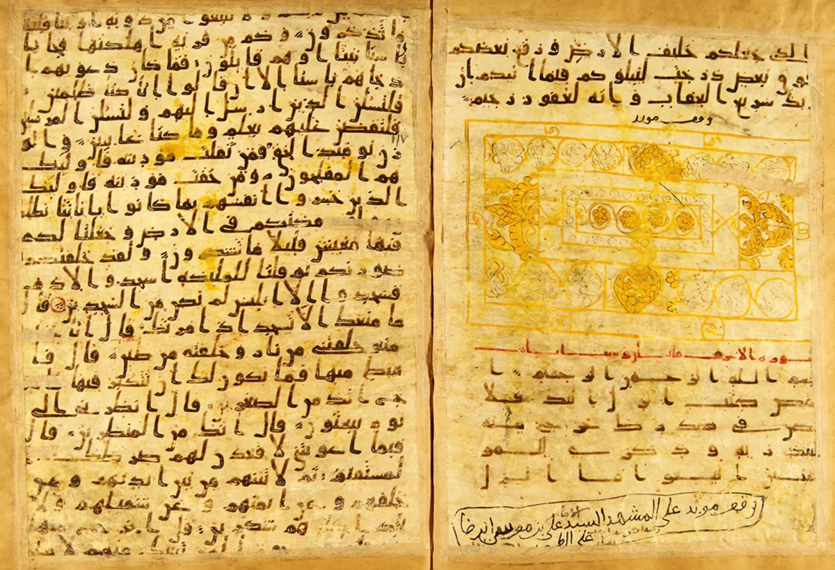 volver al futuro shoes