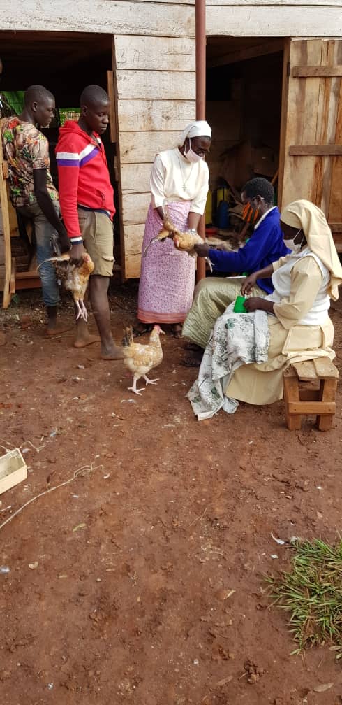 RThumitho's tweet photo. With help from @ACWECAINTL @MillerSocent #SBVP program, we learned the #socent @Eggpreneur skills &amp; created both hubs &amp; our own social enterprise; Mother Kevin Providence Farm Jinja, Uganda, our vision is to empower, w/compassion, the poor, marginalized &amp; vulnerable @hiltonfound https://t.co/sh7JxEA07h