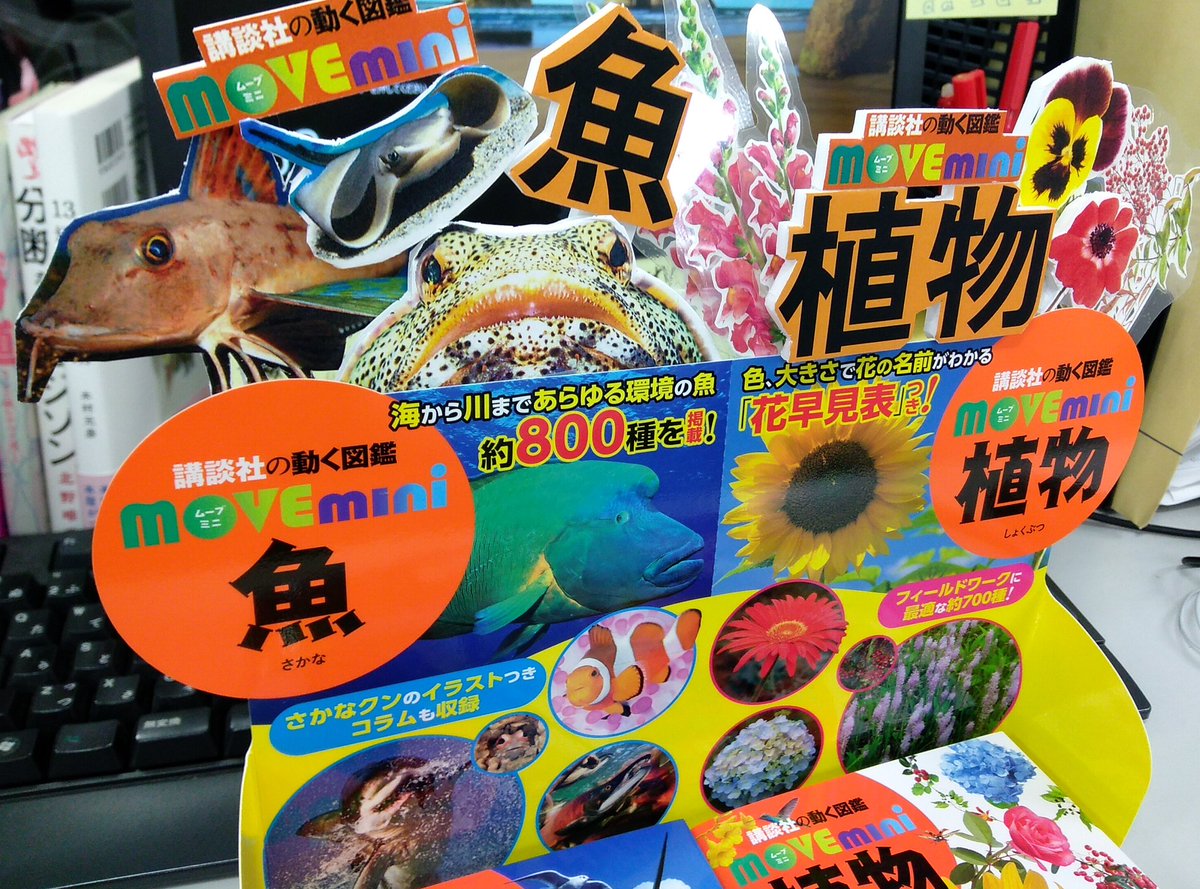 MoveKanizo's tweet photo. 会社についたら凄い手作り販売台が!ラミネ加工の花や魚。ハレパネで文字が浮いてる!
#MOVEmini
#魚
#植物
#石田さんが作りました https://t.co/u2E60a781h
