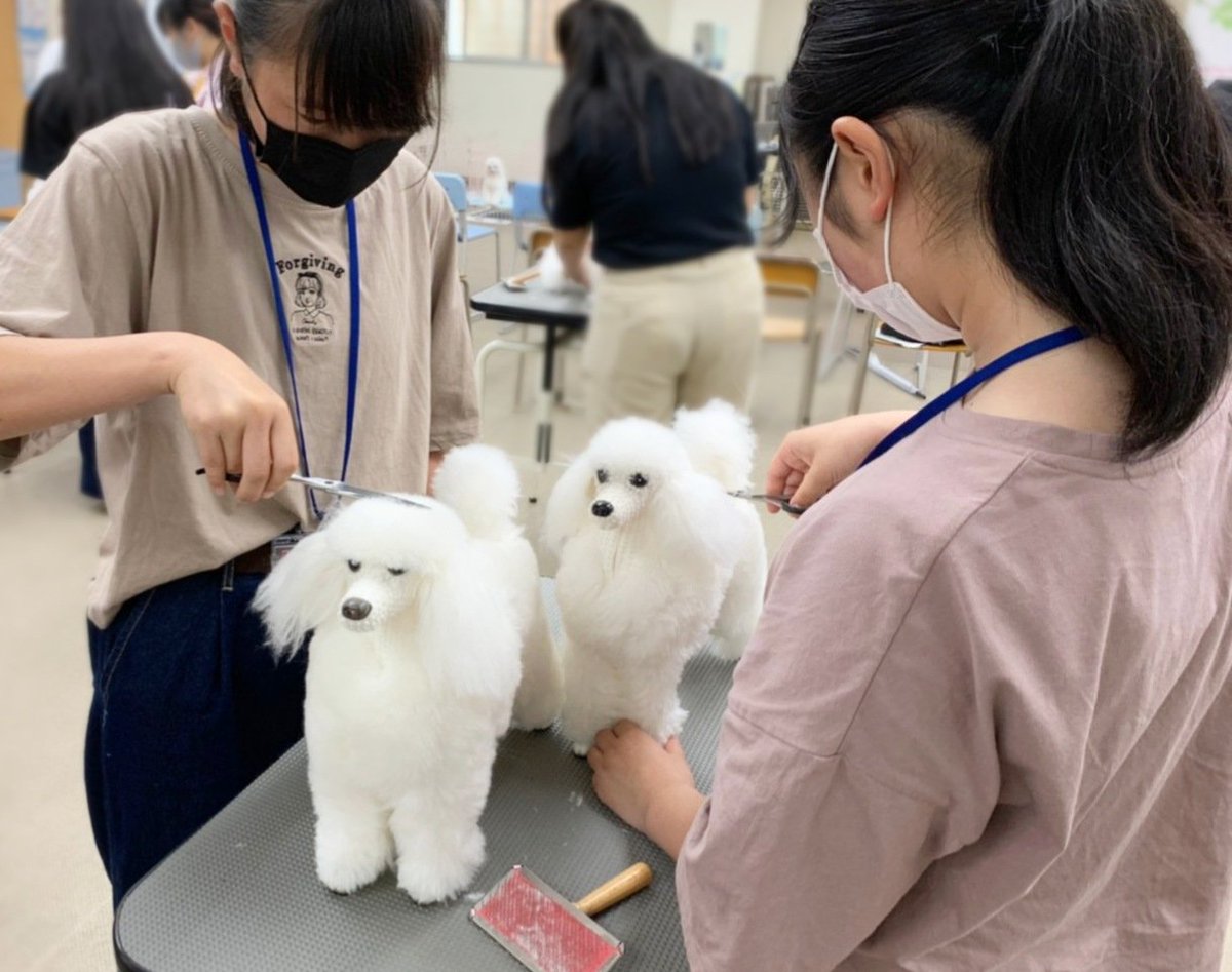 穴吹ビジネス専門学校 動物系学科 オープンキャンパス 進学費用説明会 入試説明会 たくさんのご参加ありがとうございました 穴吹動物専門学校 穴吹ビジネス専門学校 好きを極めてプロになる スキキワ オープンキャンパス T Co 7htwufzjjs 穴吹ビジネス専門学校 動物系学科 オープンキャンパス 進学費用説明会 入試説明会 たくさんのご参加ありがとうございました 穴吹動物専門学校 穴吹ビジネス専門学校 好きを極めてプロになる スキキワ オープンキャンパス T Co 7htwufzjjs